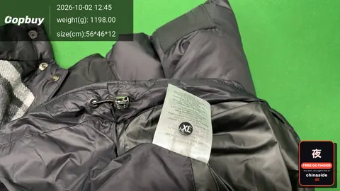 Detachable Sleeve Down Jacket
