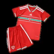 2026 FIFA World Cup Wales home Kids kit