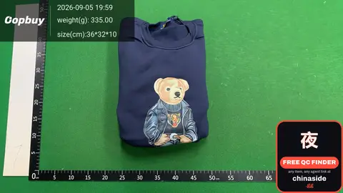 Polo Bear Graphic Sweatshirt