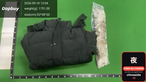Down Jacket