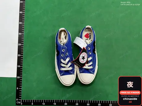 Converse Classic Canvas Shoes