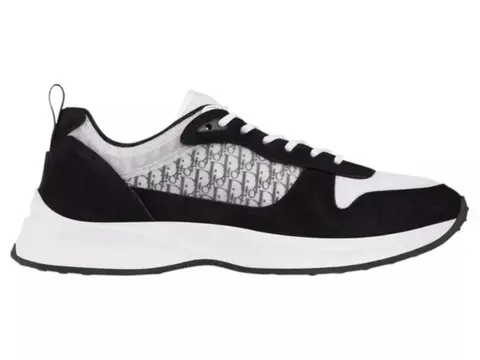 Dior B25