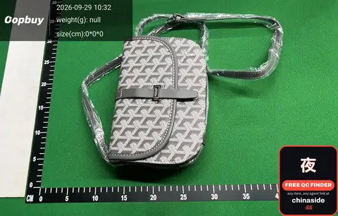Goyard Mini Crossbody Bag