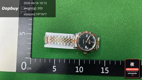 Danny Road Automatic Mechanical Watch