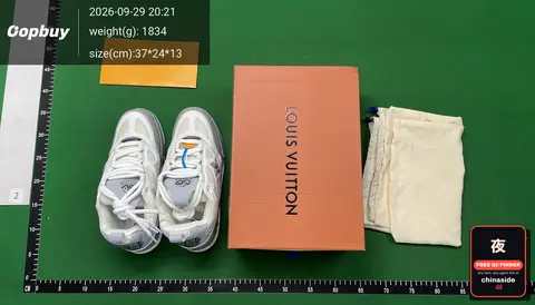 Louis Vuitton Sneakers