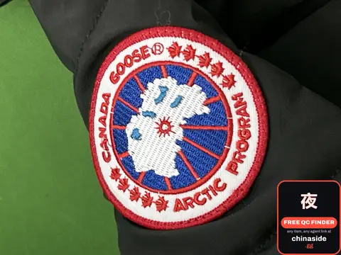 Winter Cotton-Padded Jacket with Hood