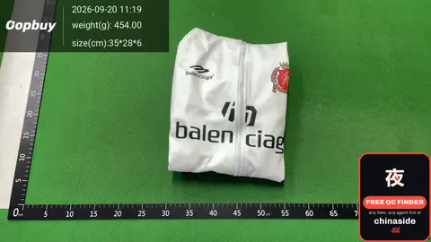 Balenciaga Zippered Hoodie