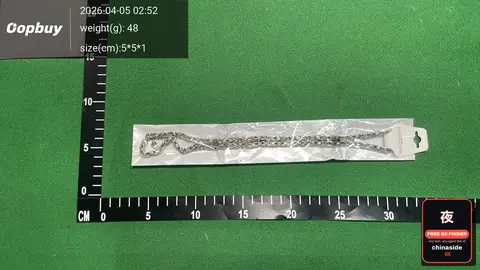 Stainless Steel V-Shaped Necklace