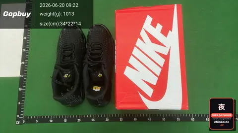 Nike Air Max Cushion Running Shoes