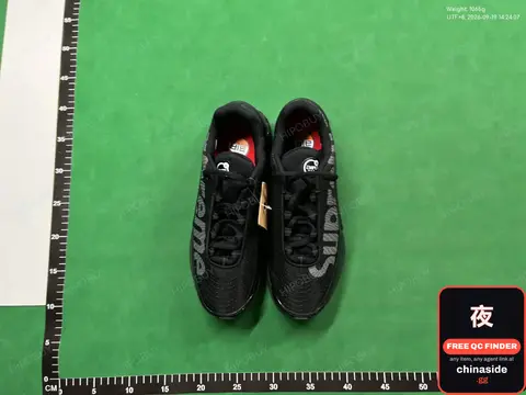 Nike Dunk Sneakers