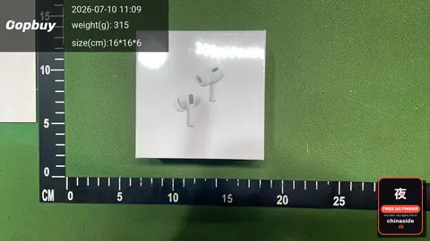 Pro 2 Wireless Earbuds