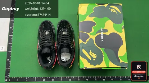 BAPE x Nike SB Dunk Low