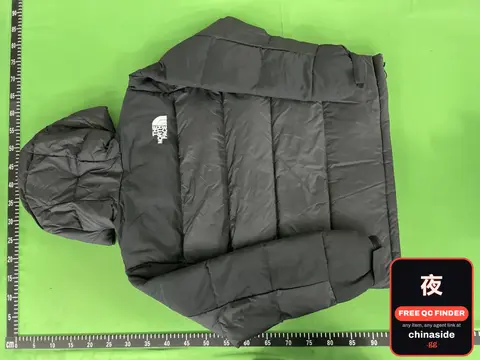 The North Face 1996 Down Jacket