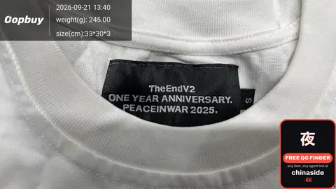 TheEndV2 One Year Anniversary Peaceinwar 2025 T-Shirt