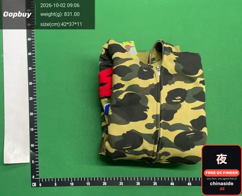 BAPE Hoodie