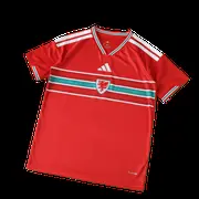 2026 FIFA World Cup Wales home Fan version