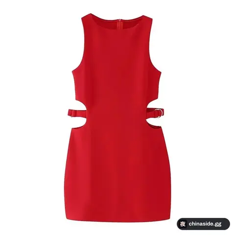 Zara Dress