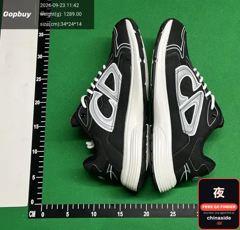 Dior B30 Low-Top Sneakers