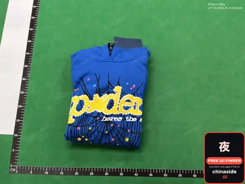 Blue Spiderweb Hoodie
