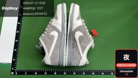 Nike Dunk Low