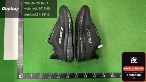 Nike Air Zoom Sneakers