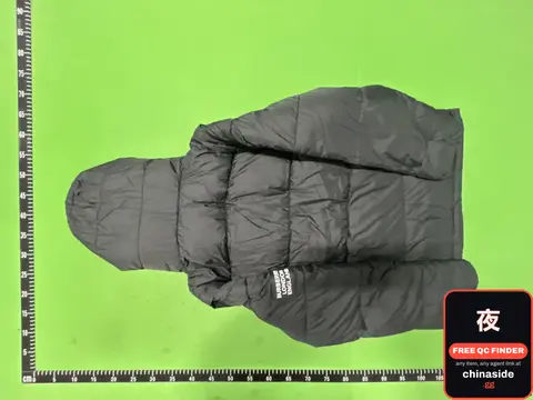 Down Jacket