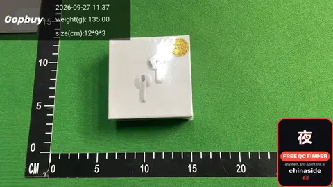 Wireless Earbuds