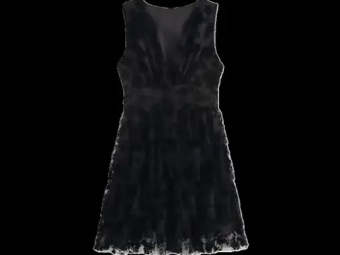 Zara Dress