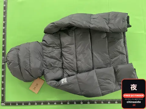 Balenciaga Puffer Jacket