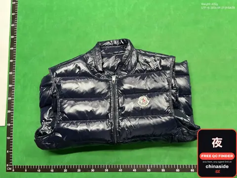 Down Vest