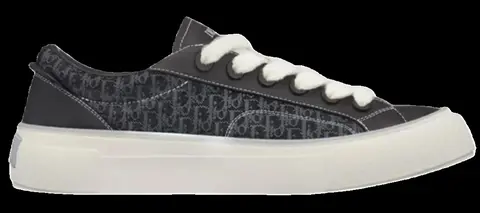 Dior B33