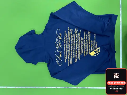 Blue Hoodie