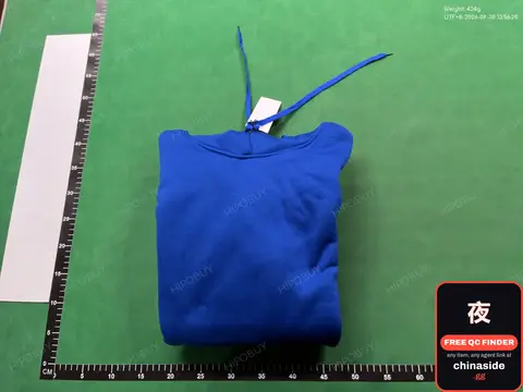 Blue Hoodie