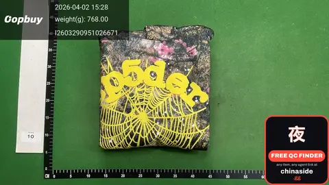 Spider Hoodie
