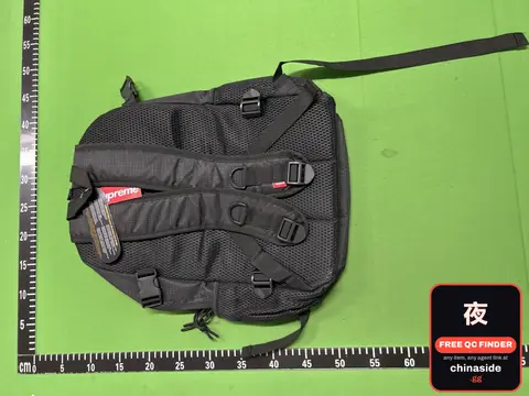 Fashionable Backpack