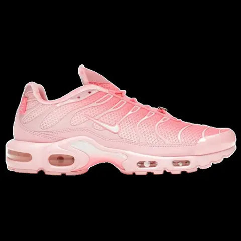 Nike Air Max Plus - Pink Gradient