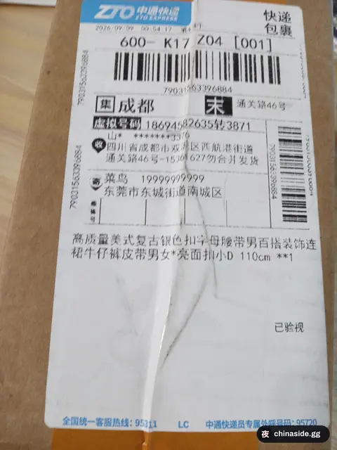 DS Belt