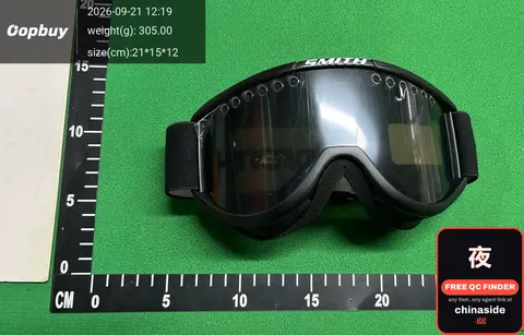 Smith Goggles