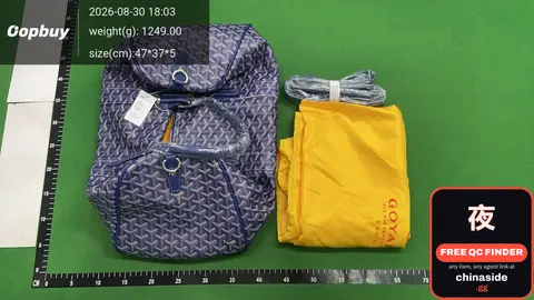 Goyard Backpack