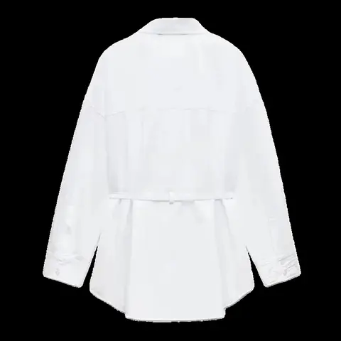 Zara Shirt