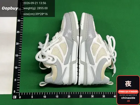 Louis Vuitton Skate Series Sneakers