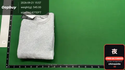 Grey Sweatshirt