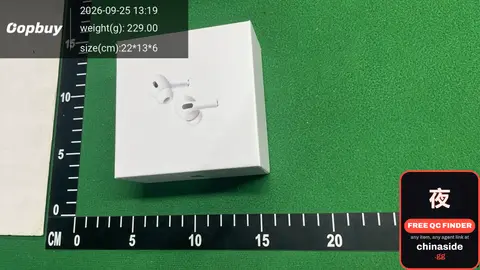 F-098 Earphone