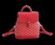 Goyard Bag - Red Backpack