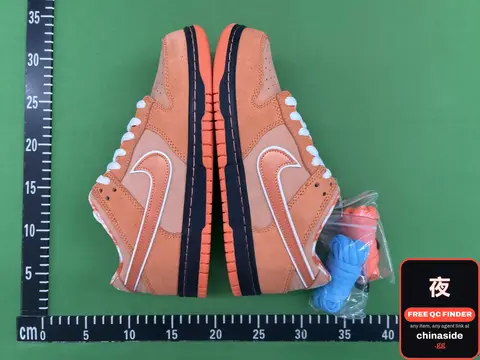 Nike SB Dunk Lobster