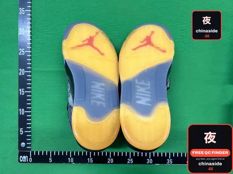 Air Jordan 5