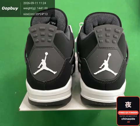 Air Jordan 4 Sneakers