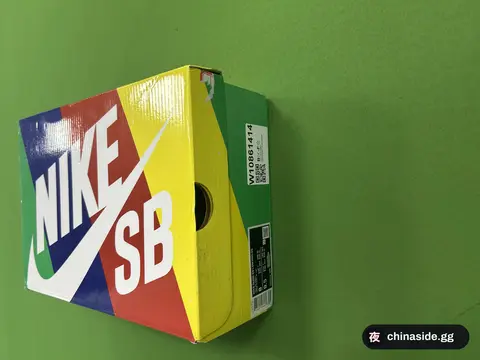 Nike SB Skateboarding Shoes