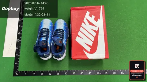 Nike Air Max TN Running Shoes