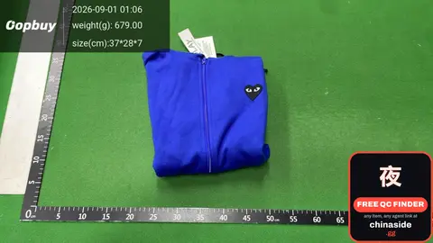Comme des Garçons Hoodie